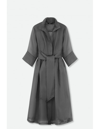 GABRIELLE DRESS IN SILK ORGANZA GUNMETAL meilleur choix