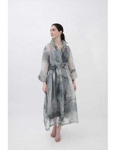 GABRIELLE DRESS IN SILK ORGANZA STONEY GREY Véritable concentré