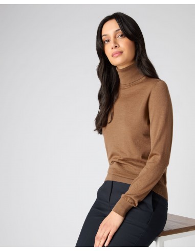 Women's Margot Superfine Cashmere Roll Neck Jumper Dark Camel Brown shop